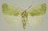  ( - BC EF Alc 01562)  @14 [ ] Copyright (2010) Unspecified Research Collection of Egbert Friedrich