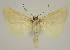  ( - BC EF Alc 01563)  @13 [ ] Copyright (2010) Unspecified Research Collection of Egbert Friedrich