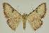  ( - BC EF Alc 01565)  @13 [ ] Copyright (2010) Unspecified Research Collection of Egbert Friedrich