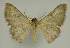  ( - BC EF Alc 01565)  @13 [ ] Copyright (2010) Unspecified Research Collection of Egbert Friedrich