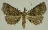  ( - BC EF Alc 01566)  @14 [ ] Copyright (2010) Unspecified Research Collection of Egbert Friedrich