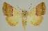  ( - BC EF Alc 01571)  @13 [ ] Copyright (2010) Unspecified Research Collection of Egbert Friedrich