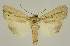  ( - BC EF Alc 01573)  @14 [ ] Copyright (2010) Unspecified Research Collection of Egbert Friedrich