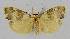  ( - BC EF Lep 01364)  @13 [ ] Copyright (2010) Unspecified Research Collection of Egbert Friedrich