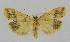  ( - BC EF Lep 01379)  @13 [ ] Copyright (2010) Unspecified Research Collection of Egbert Friedrich