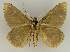  ( - BC EF Lep 02662)  @13 [ ] Copyright (2010) Unspecified Research Collection of Egbert Friedrich
