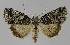  ( - BC EF Alc 00123)  @14 [ ] Copyright (2010) Unspecified Research Collection of Egbert Friedrich