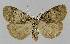  ( - BC EF Alc 00960)  @14 [ ] Copyright (2010) Unspecified Research Collection of Egbert Friedrich