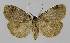  ( - BC EF Alc 00960)  @13 [ ] Copyright (2010) Unspecified Research Collection of Egbert Friedrich