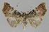  ( - BC EF Alc 00961)  @13 [ ] Copyright (2010) Unspecified Research Collection of Egbert Friedrich