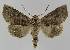  ( - BC EF Alc 00969)  @14 [ ] Copyright (2010) Unspecified Research Collection of Egbert Friedrich