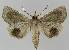  ( - BC EF Alc 00969)  @13 [ ] Copyright (2010) Unspecified Research Collection of Egbert Friedrich