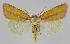  ( - BC EF Alc 00977)  @14 [ ] Copyright (2010) Unspecified Research Collection of Egbert Friedrich