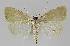  ( - BC EF Alc 00983)  @12 [ ] Copyright (2010) Unspecified Research Collection of Egbert Friedrich