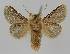  ( - BC EF Alc 00985)  @13 [ ] Copyright (2010) Unspecified Research Collection of Egbert Friedrich