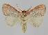  ( - BC EF Alc 00986)  @13 [ ] Copyright (2010) Unspecified Research Collection of Egbert Friedrich