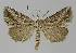  ( - BC EF Alc 00990)  @13 [ ] Copyright (2010) Unspecified Research Collection of Egbert Friedrich