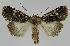  ( - BC EF Alc 00994)  @13 [ ] Copyright (2010) Unspecified Research Collection of Egbert Friedrich