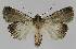  ( - BC EF Alc 00994)  @13 [ ] Copyright (2010) Unspecified Research Collection of Egbert Friedrich