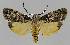 ( - BC EF Alc 00996)  @14 [ ] Copyright (2010) Unspecified Research Collection of Egbert Friedrich