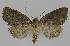  ( - BC EF Alc 00997)  @13 [ ] Copyright (2010) Unspecified Research Collection of Egbert Friedrich