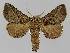  ( - BC EF Alc 01001)  @14 [ ] Copyright (2010) Unspecified Research Collection of Egbert Friedrich