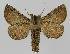  ( - BC EF Alc 01001)  @14 [ ] Copyright (2010) Unspecified Research Collection of Egbert Friedrich