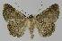  ( - BC EF Alc 01002)  @13 [ ] Copyright (2010) Unspecified Research Collection of Egbert Friedrich