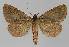  ( - BC EF Alc 01003)  @12 [ ] Copyright (2010) Unspecified Research Collection of Egbert Friedrich