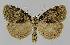  ( - BC EF Alc 01008)  @14 [ ] Copyright (2010) Unspecified Research Collection of Egbert Friedrich