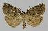  ( - BC EF Alc 01008)  @13 [ ] Copyright (2010) Unspecified Research Collection of Egbert Friedrich