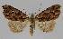  ( - BC EF Alc 01013)  @14 [ ] Copyright (2010) Unspecified Research Collection of Egbert Friedrich