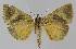  ( - BC EF Alc 01015)  @13 [ ] Copyright (2010) Unspecified Research Collection of Egbert Friedrich