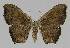  ( - BC EF Alc 01018)  @14 [ ] Copyright (2010) Unspecified Research Collection of Egbert Friedrich
