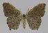  ( - BC EF Alc 01018)  @13 [ ] Copyright (2010) Unspecified Research Collection of Egbert Friedrich