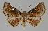 ( - BC EF Alc 01019)  @14 [ ] Copyright (2010) Unspecified Research Collection of Egbert Friedrich