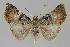  ( - BC EF Alc 01019)  @13 [ ] Copyright (2010) Unspecified Research Collection of Egbert Friedrich