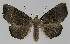 (MarapanaNAG - BC EF Alc 01026)  @14 [ ] Copyright (2010) Unspecified Research Collection of Egbert Friedrich