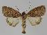  ( - BC EF Alc 01027)  @14 [ ] Copyright (2010) Unspecified Research Collection of Egbert Friedrich