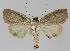  ( - BC EF Alc 01027)  @13 [ ] Copyright (2010) Unspecified Research Collection of Egbert Friedrich