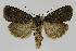  ( - BC EF Alc 01032)  @14 [ ] Copyright (2010) Unspecified Research Collection of Egbert Friedrich