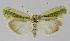  ( - BC EF Alc 01043)  @14 [ ] Copyright (2010) Unspecified Research Collection of Egbert Friedrich