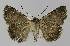  ( - BC EF Alc 01045)  @13 [ ] Copyright (2010) Unspecified Research Collection of Egbert Friedrich