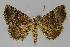  ( - BC EF Alc 01051)  @14 [ ] Copyright (2010) Unspecified Research Collection of Egbert Friedrich