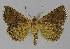  ( - BC EF Alc 01051)  @13 [ ] Copyright (2010) Unspecified Research Collection of Egbert Friedrich