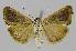  ( - BC EF Alc 01057)  @13 [ ] Copyright (2010) Unspecified Research Collection of Egbert Friedrich