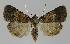  ( - BC EF Alc 01059)  @14 [ ] Copyright (2010) Unspecified Research Collection of Egbert Friedrich