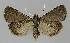  ( - BC EF Alc 01059)  @13 [ ] Copyright (2010) Unspecified Research Collection of Egbert Friedrich