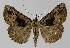  ( - BC EF Alc 01062)  @14 [ ] Copyright (2010) Unspecified Research Collection of Egbert Friedrich