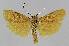  ( - BC EF Alc 01068)  @14 [ ] Copyright (2010) Unspecified Research Collection of Egbert Friedrich